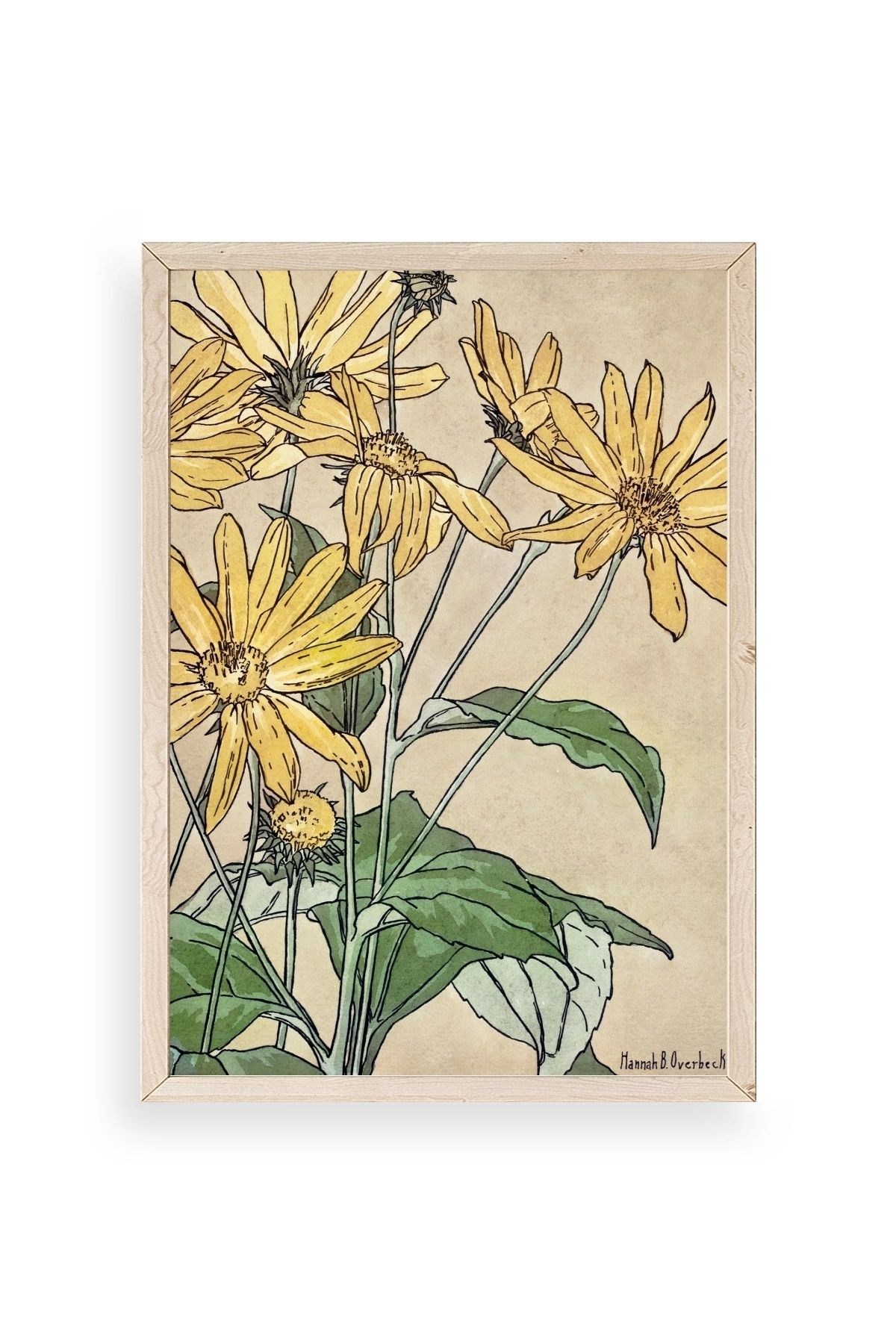 Hannah Borger Ahşap Çerçeveli Tablo resmi