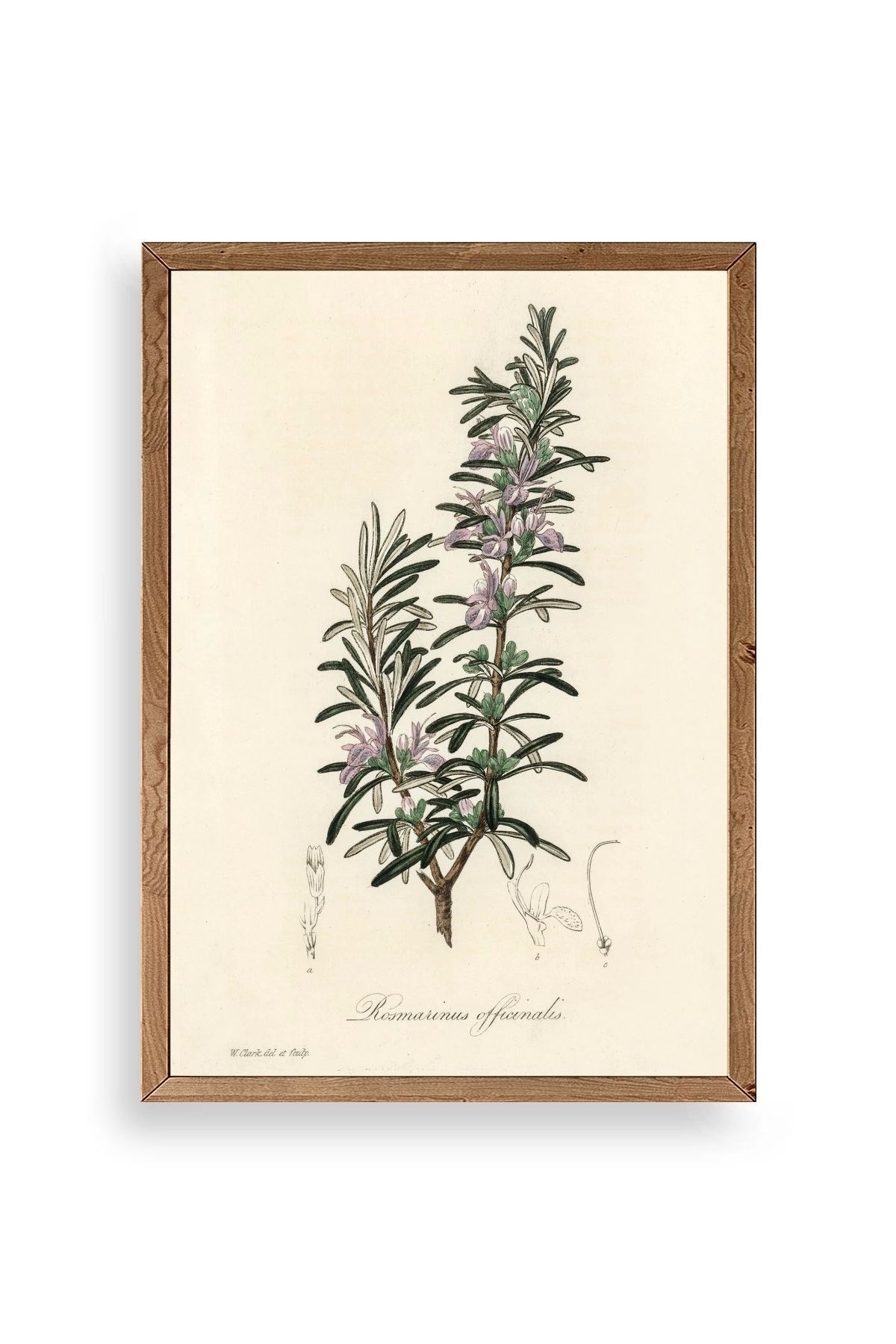 Yaprak Ahşap Çerçeveli Tablo resmi